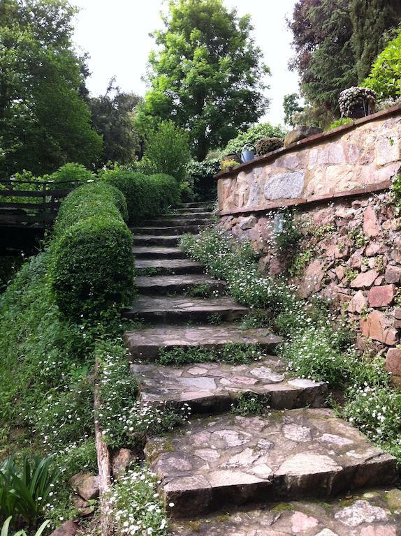 Penzion Masia El Moli De Can Aulet Arbúcies Exteriér fotografie