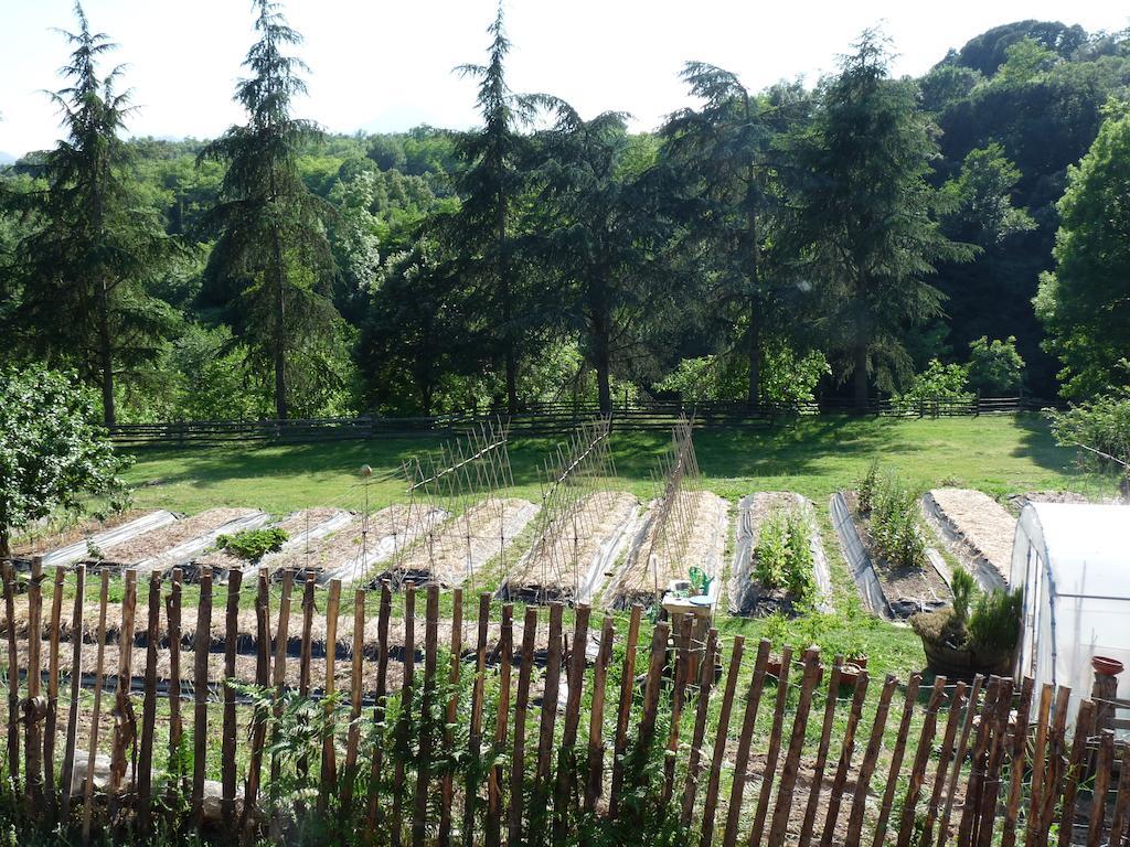 Penzion Masia El Moli De Can Aulet Arbúcies Exteriér fotografie