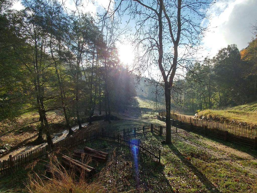 Penzion Masia El Moli De Can Aulet Arbúcies Exteriér fotografie