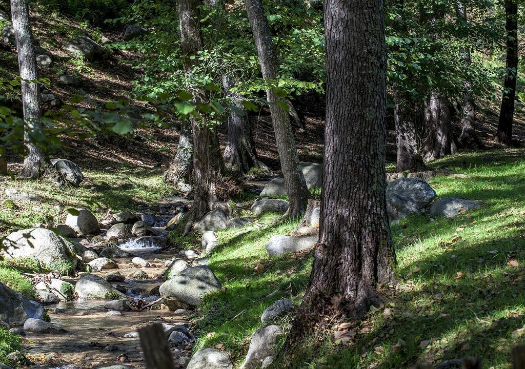 Penzion Masia El Moli De Can Aulet Arbúcies Exteriér fotografie