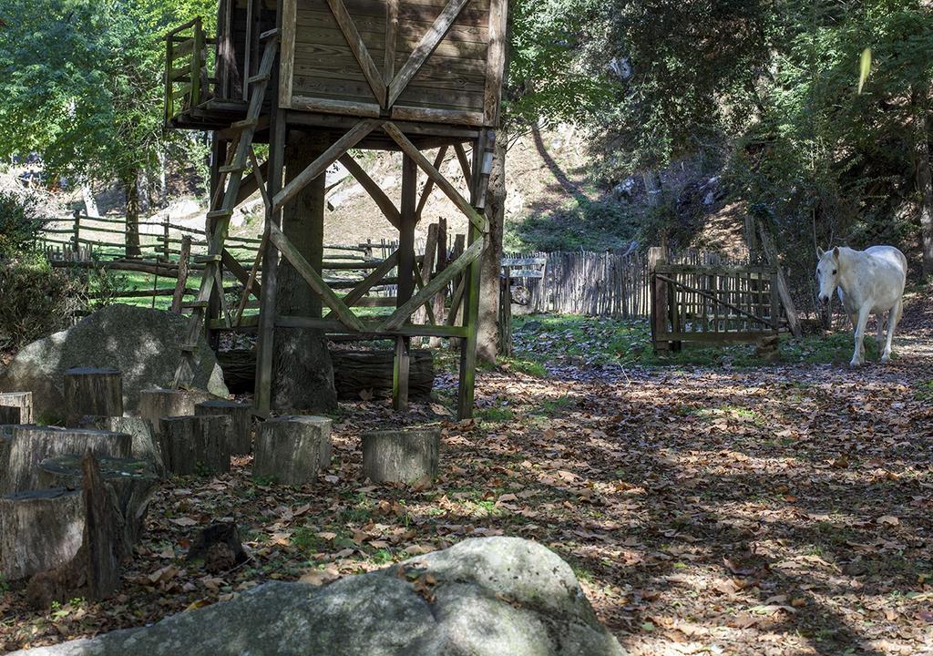 Masia El Moli De Can Aulet Arbúcies Exteriér fotografie