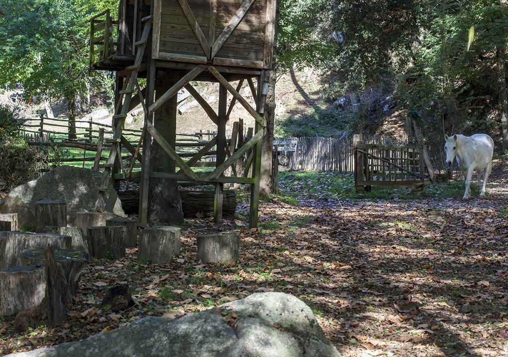 Penzion Masia El Moli De Can Aulet Arbúcies Exteriér fotografie