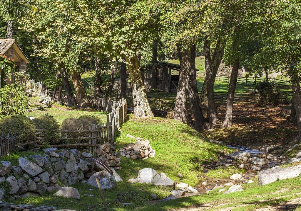 Penzion Masia El Moli De Can Aulet Arbúcies Exteriér fotografie